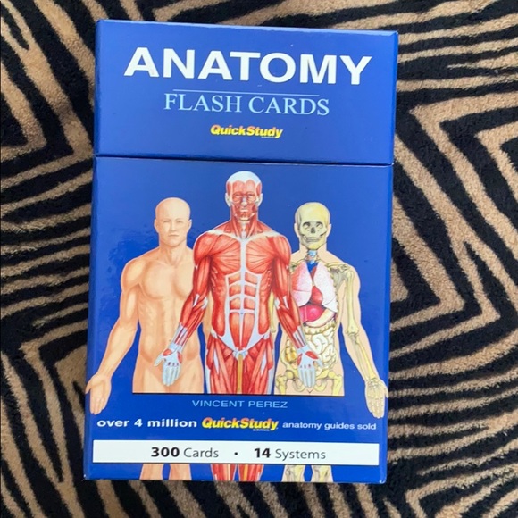 Anatomy flash cards - Picture 1 of 5